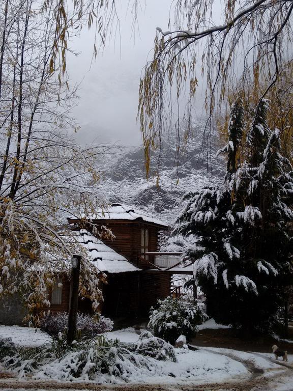 Mendoza Sol Y Nieve Villa Potrerillos Bagian luar foto